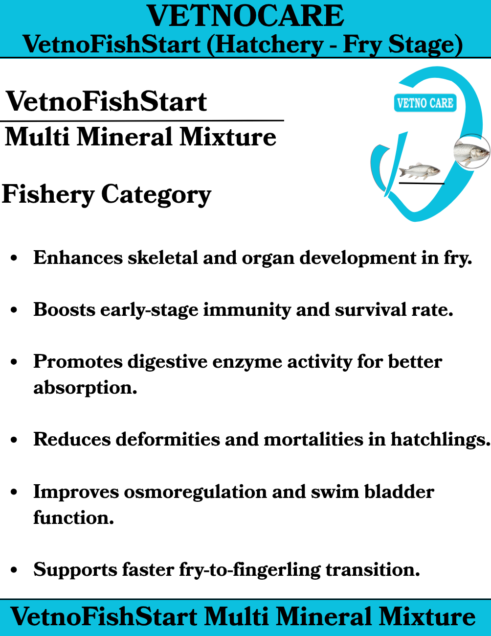 VetnoFishStart