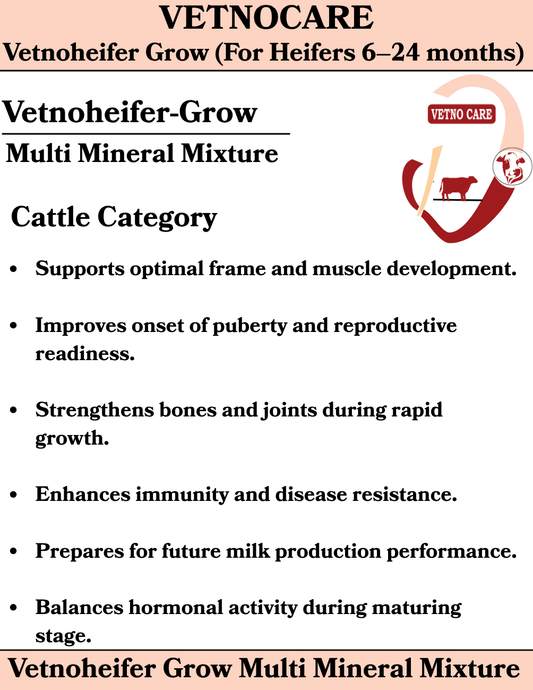 Vetnoheifer-Grow