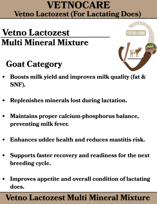 Vetno Lactozest