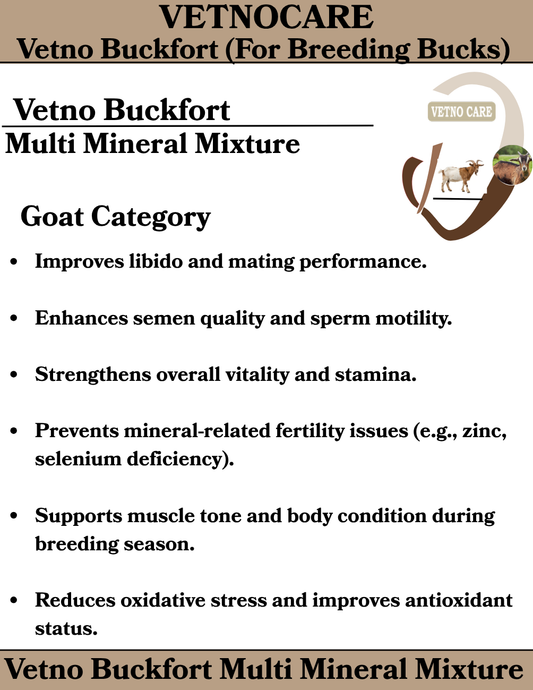 Vetno Buckfort