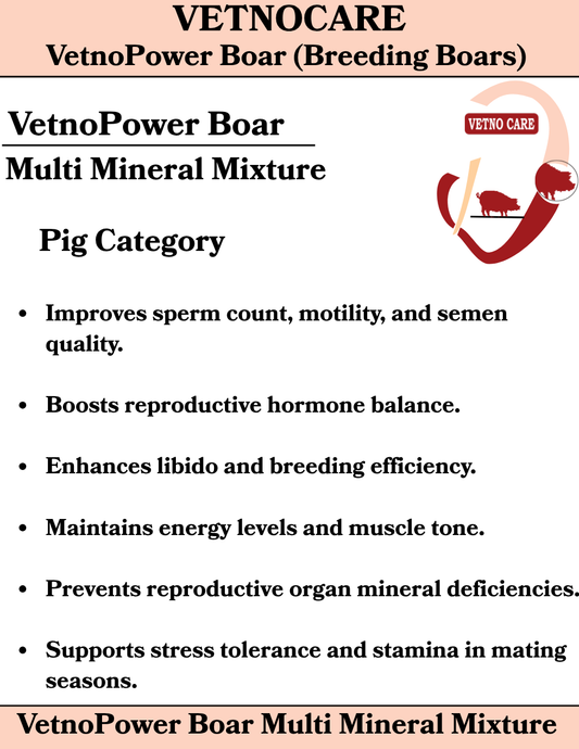 VetnoPower Boar