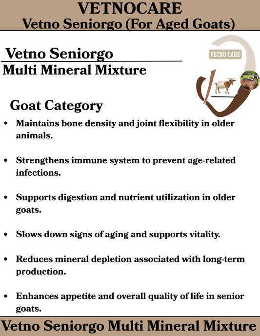 Vetno Seniorgo