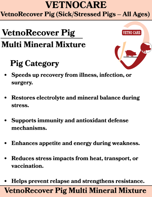 VetnoRecover Pig