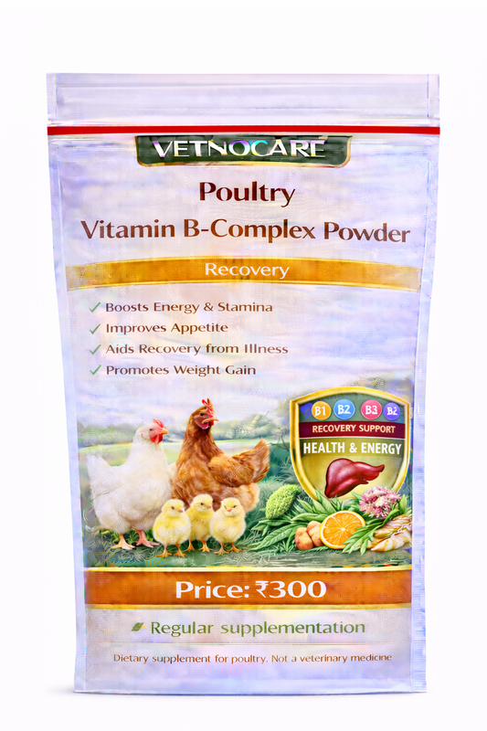 Vetno Poultry Vitamin B-Complex Powder