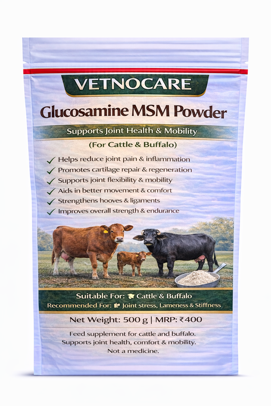 Vetno Glucosamine MSM Powder